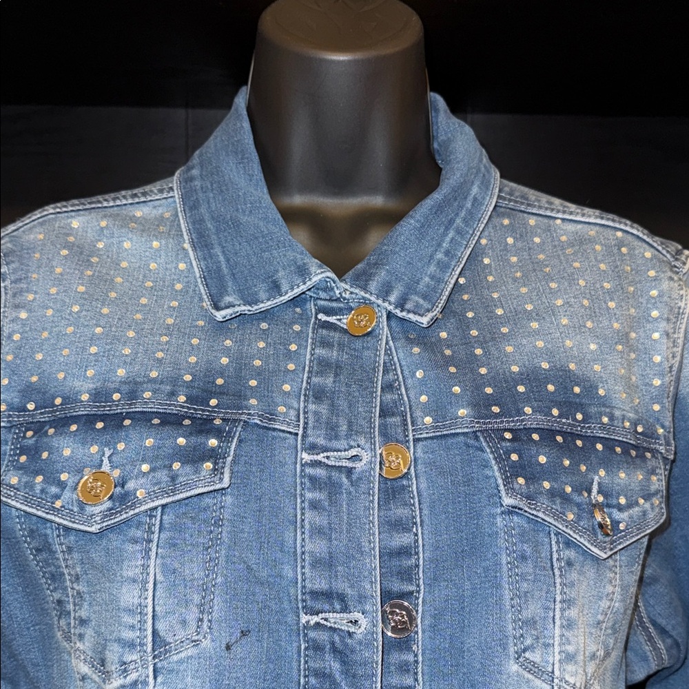Bebe Studded Distressed Denim Jacket